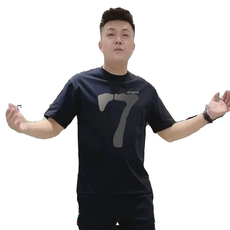 Importé - T-Shirt Homme Décontracté Manches Courtes En Coton