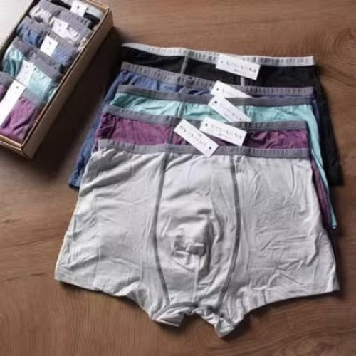 Importé - Lot 5 Boxer Coton Sport Homme Sous-Vêtement