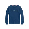 Importé - POLO TOMMY ORIGINAL 100% Coton Homme Manches Longues