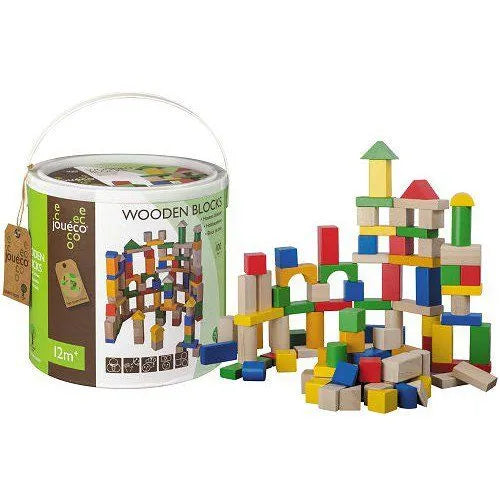 Blocs de Bois-100pcs+12mois
