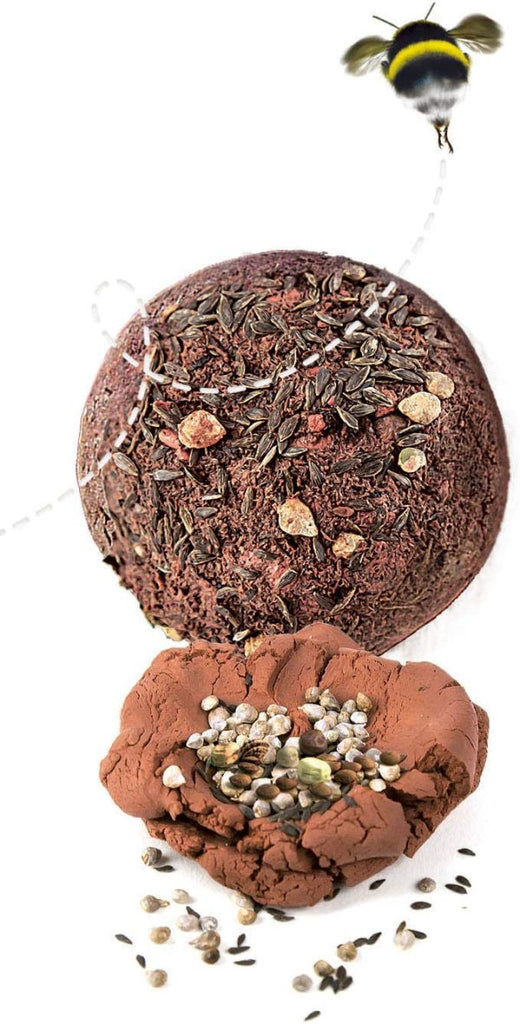 JEU DE SCIENCES-BOMBES DE GRAINES+6ANS