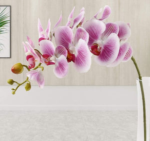 FLEUR ARTIFICIELLE ORCHIDEE-98CM-9BOUTONS-ASST