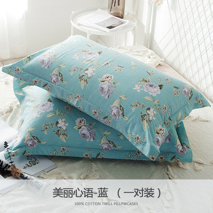 Importé - Paire de Taie d'oreiller 100% Coton Antarctique