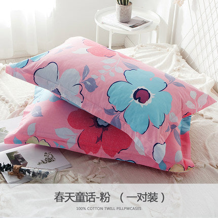 Importé - Paire de Taie d'oreiller 100% Coton Antarctique