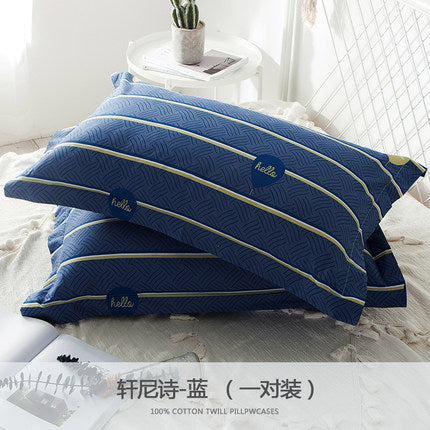 Importé - Paire de Taie d'oreiller 100% Coton Antarctique
