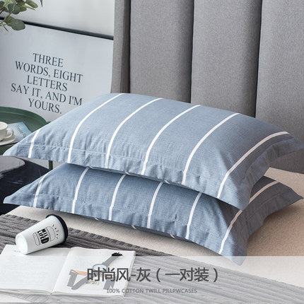 Importé - Paire de Taie d'oreiller 100% Coton Antarctique