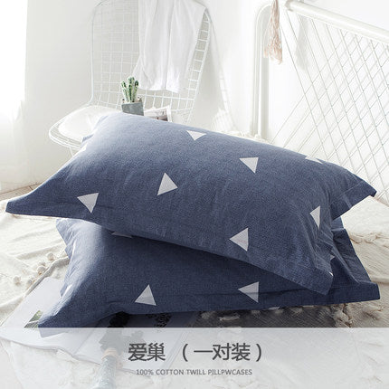 Importé - Paire de Taie d'oreiller 100% Coton Antarctique