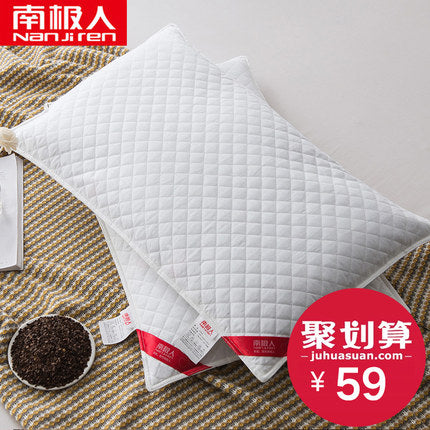 Importé - Paire d'Oreiller médical rempli de fleurs de sarrasin tissu 100% coton