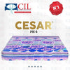 Matelas brodé CIL - Orthopédique - Prime Extra Ph6 - 2 Places