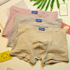 Importé - Lot de 3 Boxer Sous-vêtements homme en coton