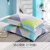 Importé - Paire de Taie d'oreiller 100% Coton Antarctique