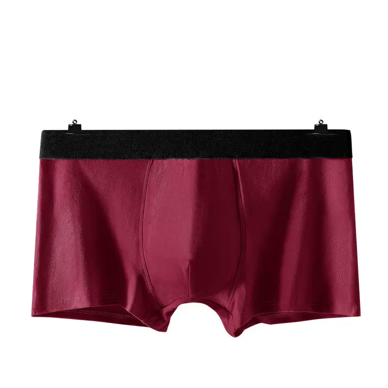 Importé - Boxer Sports Homme Sous-Vêtements En Coton