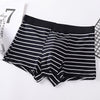 Importé - Boxer Homme Sous-Vêtements Confortable En Coton