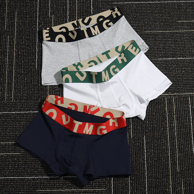 Importé - Lot de 3 Boxer Sexy Sous-Vêtements Homme En Coton