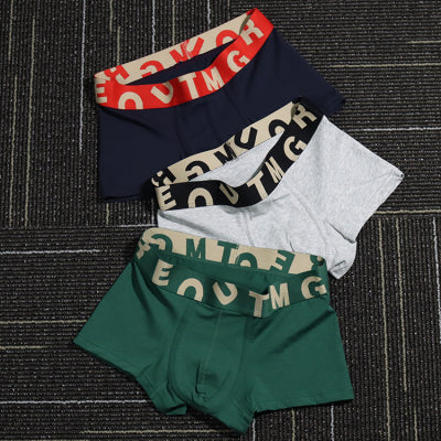 Importé - Lot de 3 Boxer Sexy Sous-Vêtements Homme En Coton
