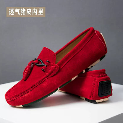 Importé - Chaussure Tod's Cuir Daim Véritable Homme
