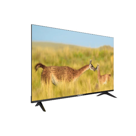NASCO TV LED 50'' CONNECTÉE GOOGLE YOUTUBE-NETFLIX-PRIME - 4K-UHD - NAS-J50FBFL-G