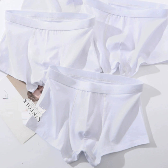 Importé - Lot de 2-4 Boxers Coton Homme Sous-Vêtements