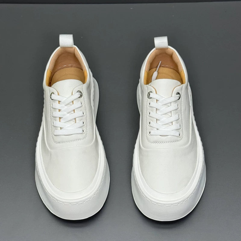 Importé - Chaussure Homme Sport Baskets à Lacets En Cuir