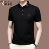 Importé - Polo Brodé Homme Manche Courts