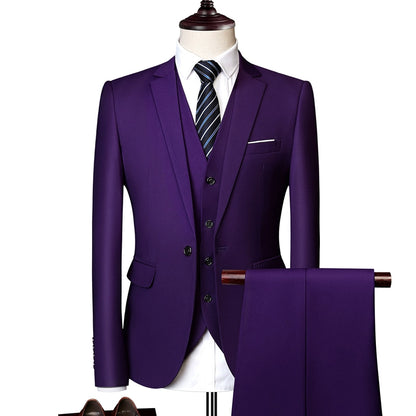 Importé - Ensemble Costume Homme Slim Style Britannique 3 Pièces