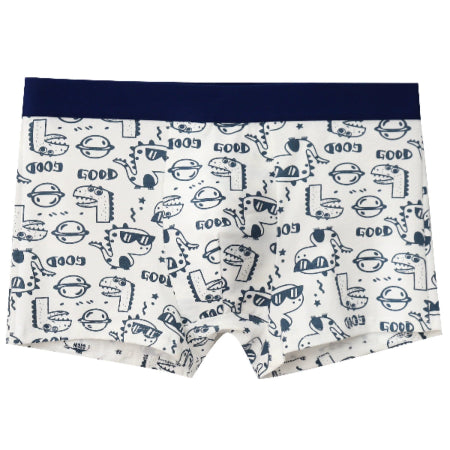 Importé Boxers En Coton Sous-Vêtement Homme 2,3Et 4 pièces