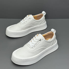 Importé - Chaussure Homme Sport Baskets à Lacets En Cuir