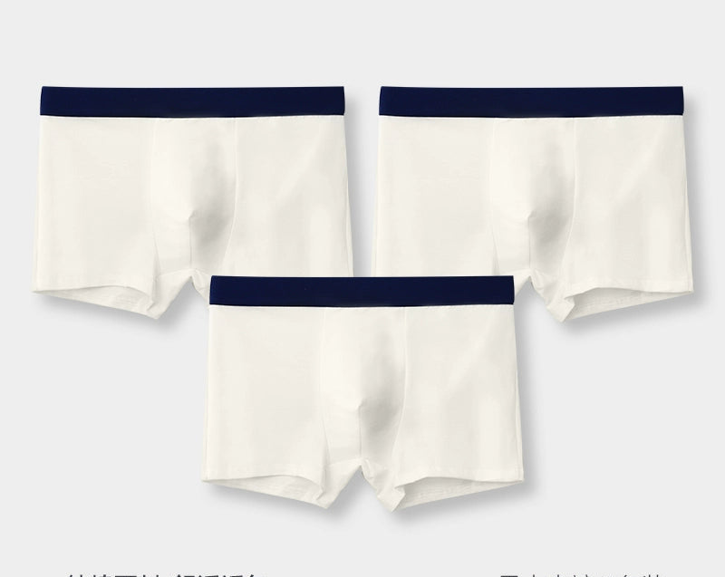 Importé - Lot de 2-3-4 Boxers Coton Sous-Vêtement Homme