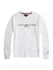 Importé - T-shirt  POLO TOMMY ORIGINAL 100% Coton Homme Manches Longues