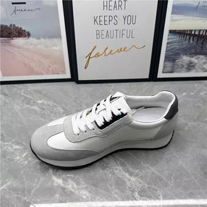 Importé - Chaussure Homme Sport Basket Cuir Tissu