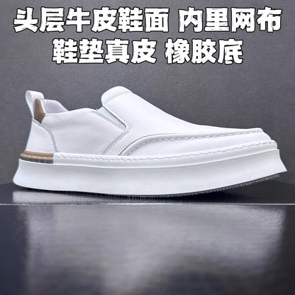 Importé - Chaussure Homme Sneaker Décontractées En Cuir