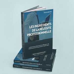 Les Ingrédients de la Réussite Professionnelle Les Bonnes Pratiques Actionnables Pour une Vie Professionnelle Epanouie et Transformé – Nanette NDETIRI