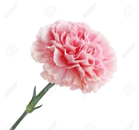 FLEUR ARTIFICIELLE ROSE