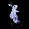 NOEL-LAPIN A VELO LUMINEUX-8 FONCTIONS-BLANC FROID