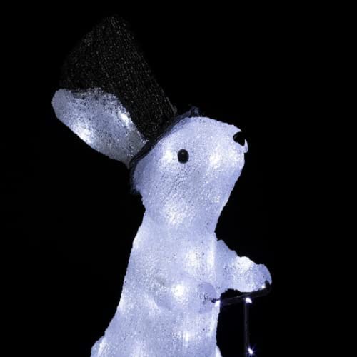 NOEL-LAPIN A VELO LUMINEUX-8 FONCTIONS-BLANC FROID