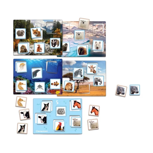 Jeu Educatif Formes et Couleurs 2-4ans