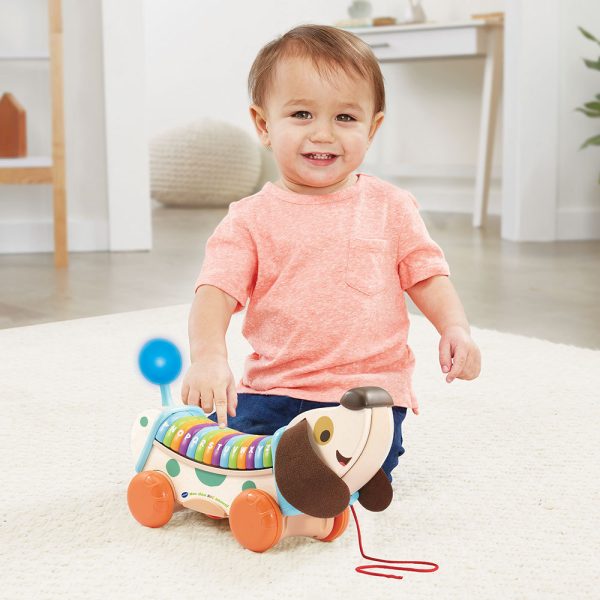 Vtech Mon Chien ABC Interactif 1-4 ans