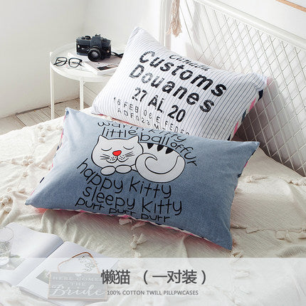 Importé - Paire de Taie d'oreiller 100% Coton Antarctique