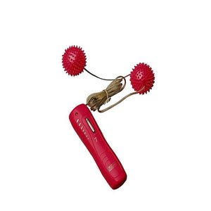 SEXTOYS Vibromasseur Les Boules de L'Amour - Rose