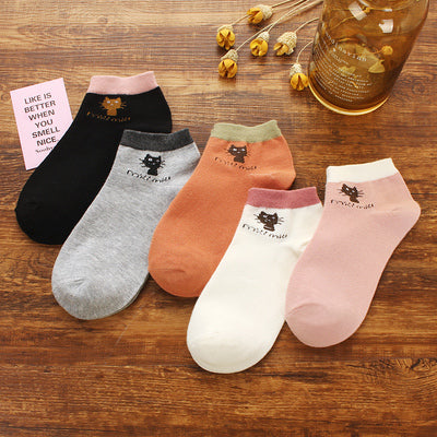 Importé - Lot de 5 Paires de Chaussettes Sport 100% Coton