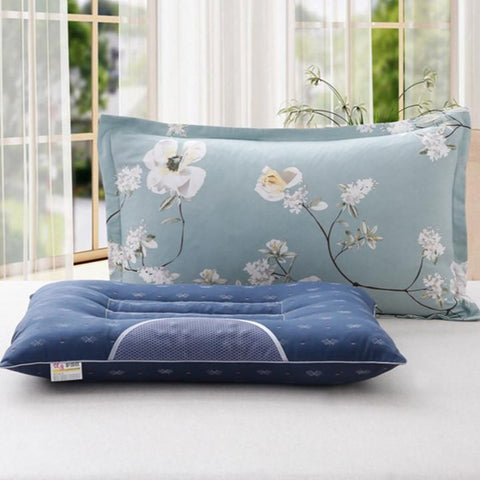 Importé - Lot de 2 Oreillers Adulte Cervicaux En Graine De Cassia