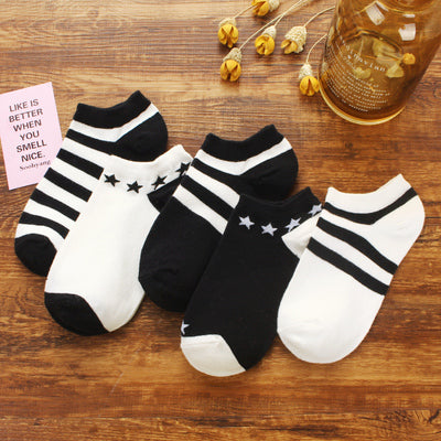 Importé - Lot de 5 Paires de Chaussettes Sport 100% Coton