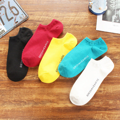 Importé - Lot de 5 Paires de Chaussettes Sport 100% Coton Couleur Unie