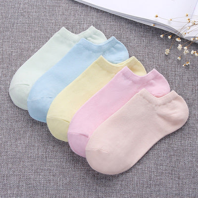 Importé - Lot de 5 Paires de Chaussettes Femme  Sport 100% Coton Tendance