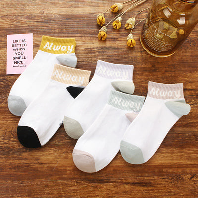 Importé - Lot de 5 Paires de Chaussettes Sport 100% Coton