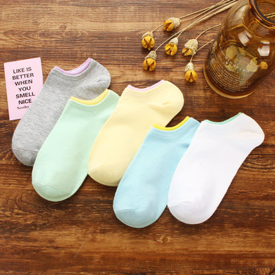 Importé - Lot de 5 Paires de Chaussettes Sport 100% Coton