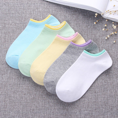 Importé - Lot de 5 Paires de Chaussettes Femme  Sport 100% Coton Tendance