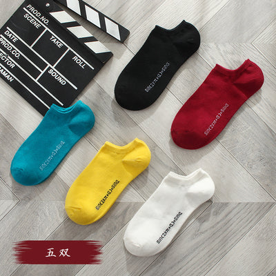 Importé - Lot de 5 Paires de Chaussettes Sport 100% Coton