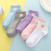 Importé - Lot de 5 Paires de Chaussettes Femme  Sport 100% Coton Tendance