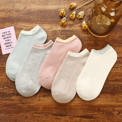 Importé - Lot de 5 Paires de Chaussettes Sport 100% Coton